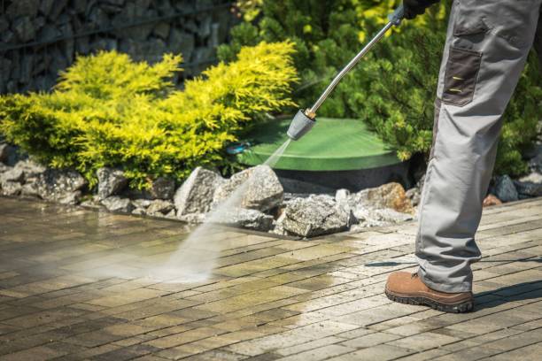 Best Animal Enclosure Cleaning  in Port Barrington, IL